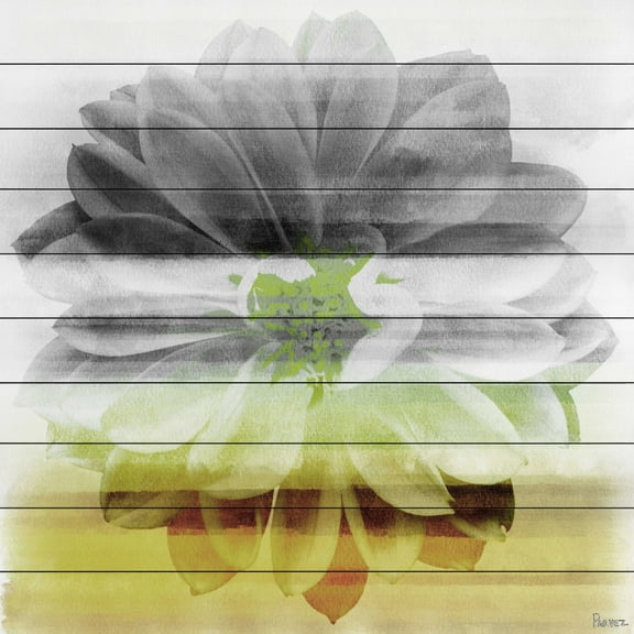 Bloom by Parvez Taj Painting Print on White Wood