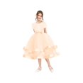 thumbnail image 2 of Girls Dress Champagne Ball Gown Wedding Party Pageant 10 Years, 2 of 5