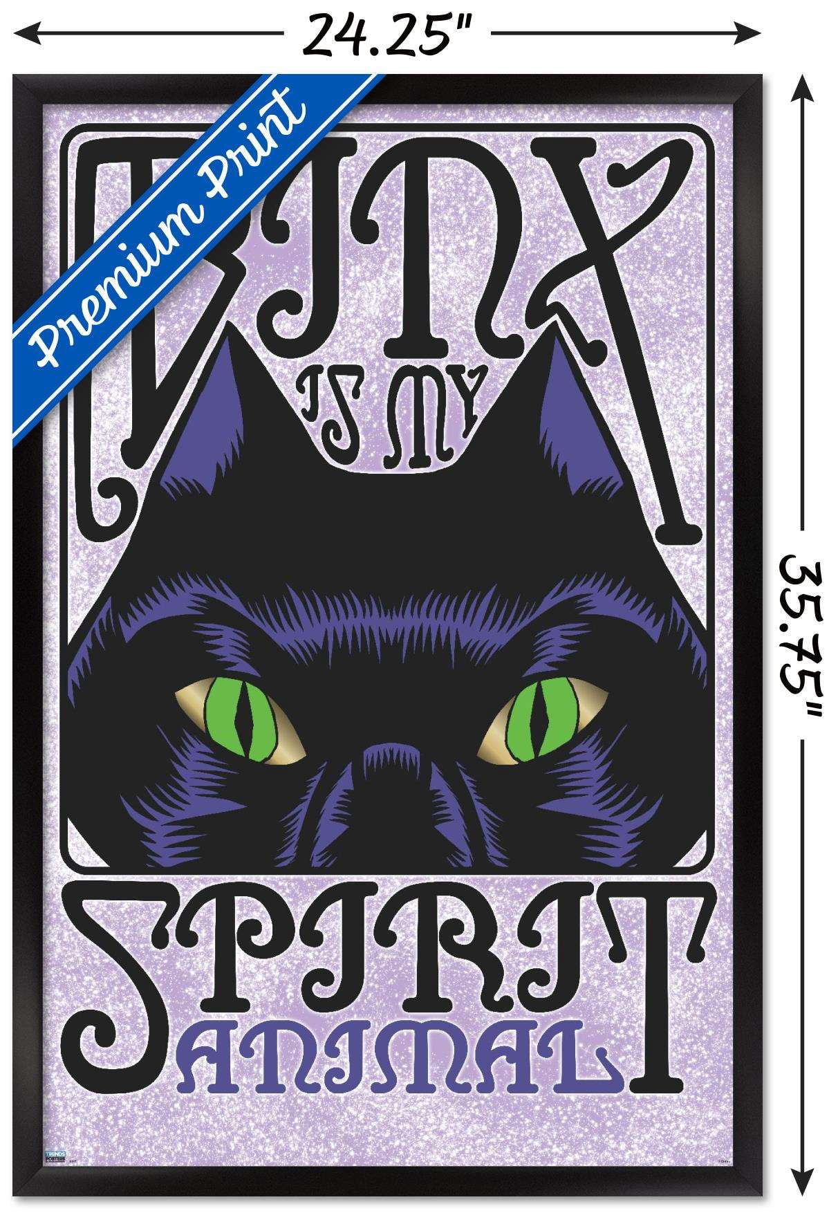 Disney Hocus Pocus - Binx Wall Poster, 22.375" x 34", Framed