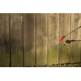 thumbnail image 6 of Discontinued Jomax Zinsser SprayOnce, Gallon, 6 of 9