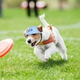 thumbnail image 1 of Hytrove Sombrero Azul Para Perro Con Ventilación Para Orejas Protección Solar Y Ajuste Cómodo, 1 of 6