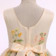 thumbnail image 3 of IDOPIP Embroidery Flower Girl Lace Tutu Dress for Kids Wedding Pageant Birthday Party First Communion Dresses Princess Bridesmaid Ball Maxi Gown 9-10 Years Apricot Floral, 3 of 5