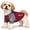 Maroon, variant on Pet Life ® Active 'Hybreed' 4-Way-Stretch Fitness Performance Dog T-Shirt