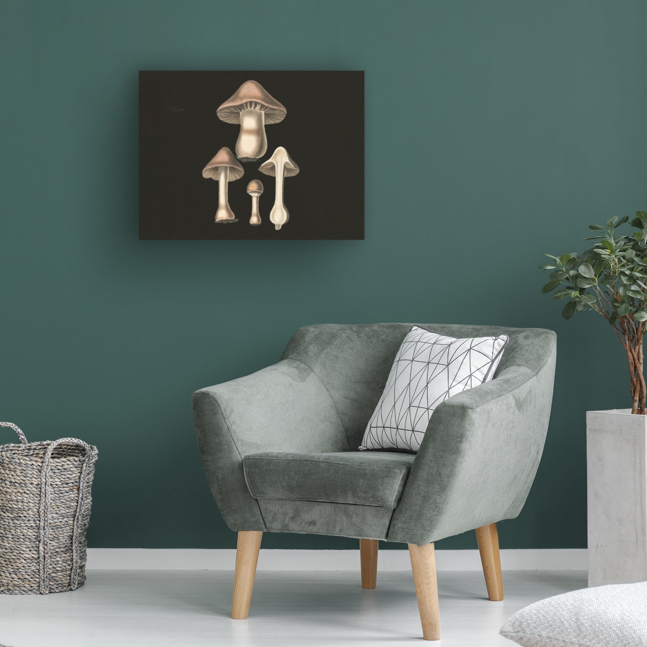 Trademark Fine Art Pictufy   Agaricus Bulbosus  Dark Background Canvas Wall Art