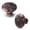 Antique Copper-10, variant on Antique Brass 10 Pack Cabinet Knobs Hardware For Cabinets And Drawers