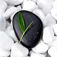 thumbnail image 1 of Image Conscious PDXIN30898SMALL Affiche Zen Stone par Photoinc Studio, 12 x 12 - Petit, 1 of 1
