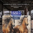 thumbnail image 3 of Bathroom Scale, Highly Accurate Digital Body Scale,Precisely Measures Weight up to 400 lbs-Strong Brown Horses Running Stirred Up The Sand, 3 of 4