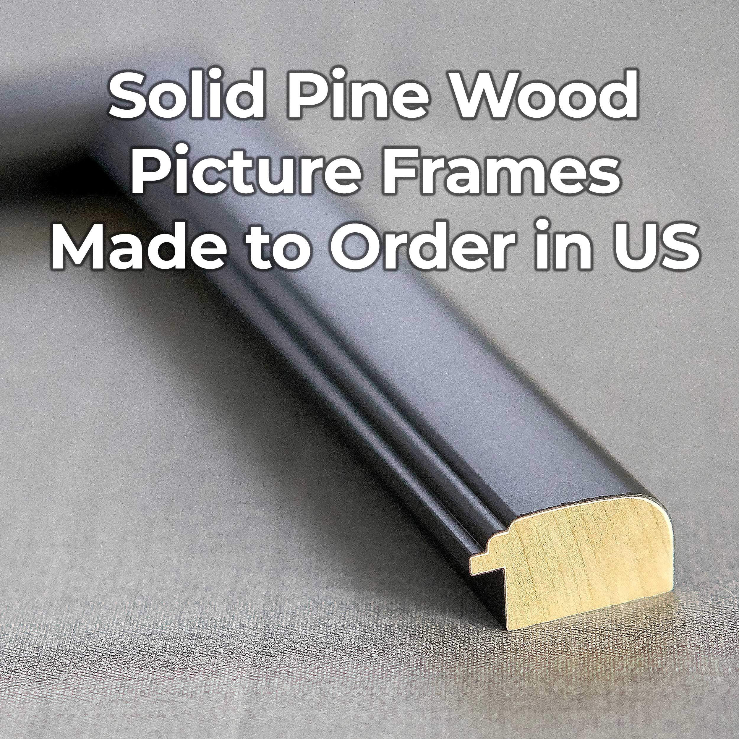 18x48 Frame Black Solid Wood Picture Frame - Complete Modern Photo Frame Includes UV Acrylic