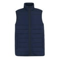 thumbnail image 1 of Regatta Professional Mens Thermal Body Warmer, 1 of 4