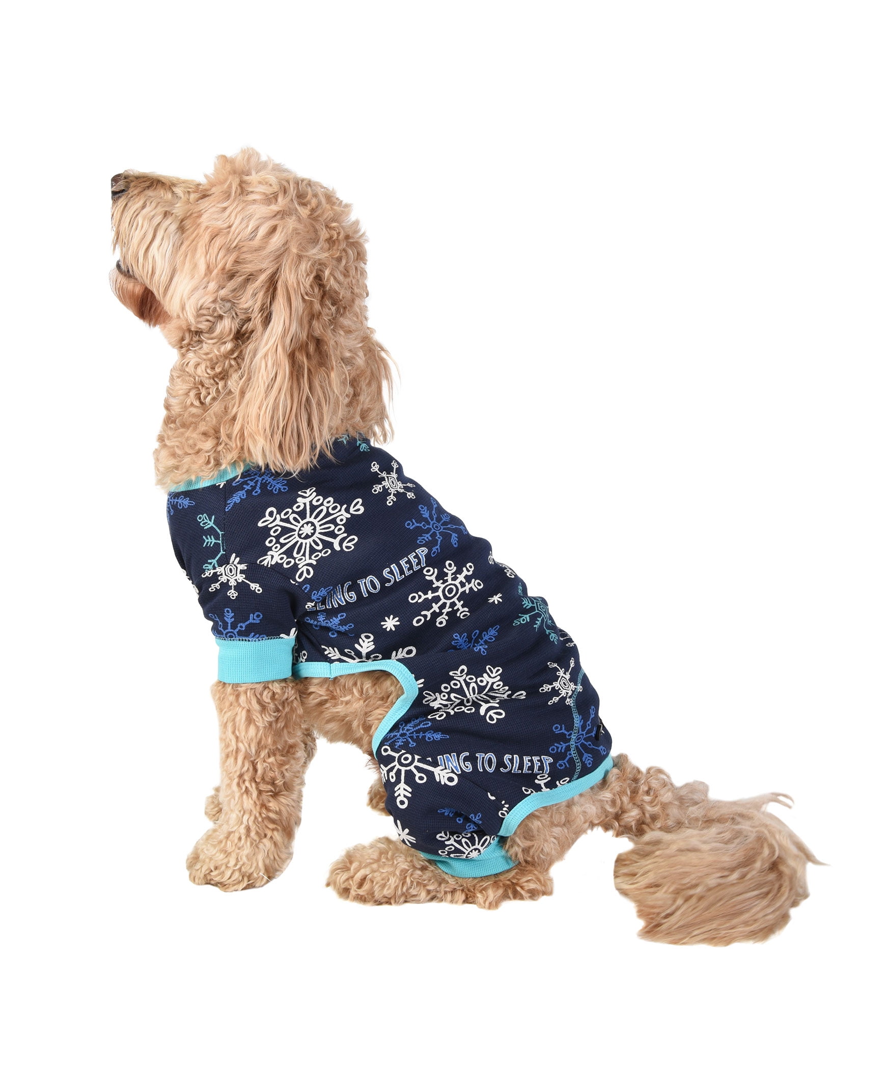 Can Dogs Sleep In Sweaters