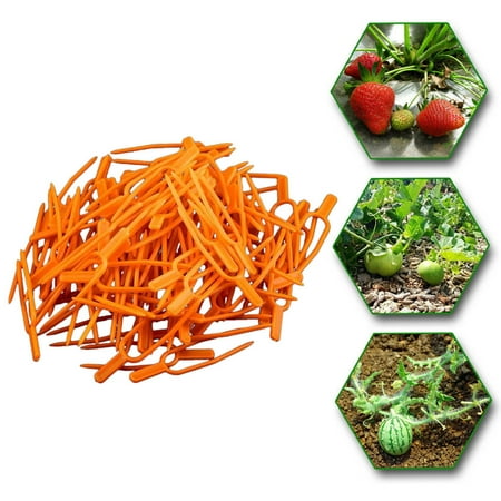 Tomato Veggie Garden Plant Support Clips For Trellis Twine Greenhouse Tool 50pcs