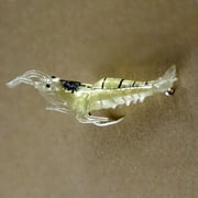 OPOLSKI 4.5cm PVC Glow Bead Soft Shrimp Fishing Lures for Freshwater & Saltwater، 5-Count