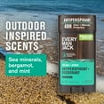 thumbnail image 5 of Every Man Jack Antiperspirant Deodorant for Men, Sea Salt + Citrus, Stick Twin Pack, 2.6oz each, 5 of 13