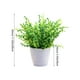 thumbnail image 3 of Decoración del hogar, decoración de habitaciones, decoración de paredes, plantas verdes artificiales, simulación de macetas, decoración del vestíbulo del hotel, oficina en casa, plantas verdes, decora, 3 of 6