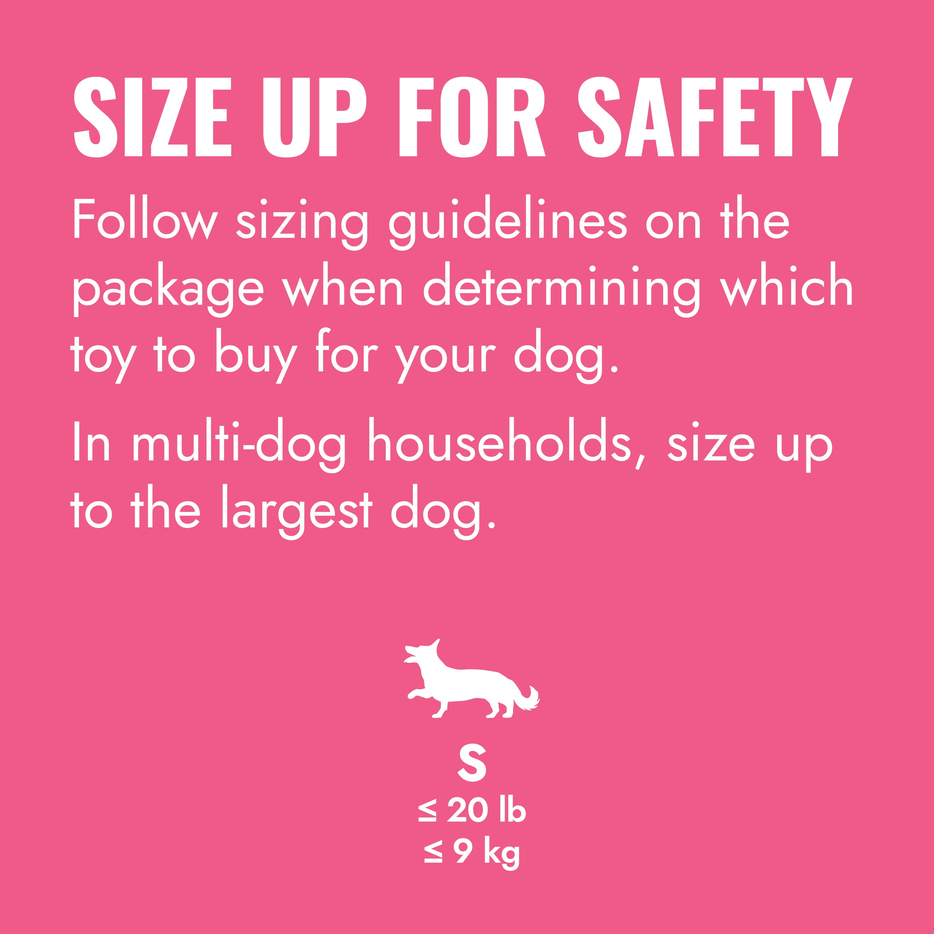 KONG® Puppy Goodie Bone for Beginner Chewers, Pink, Small for Dogs up to 20lb