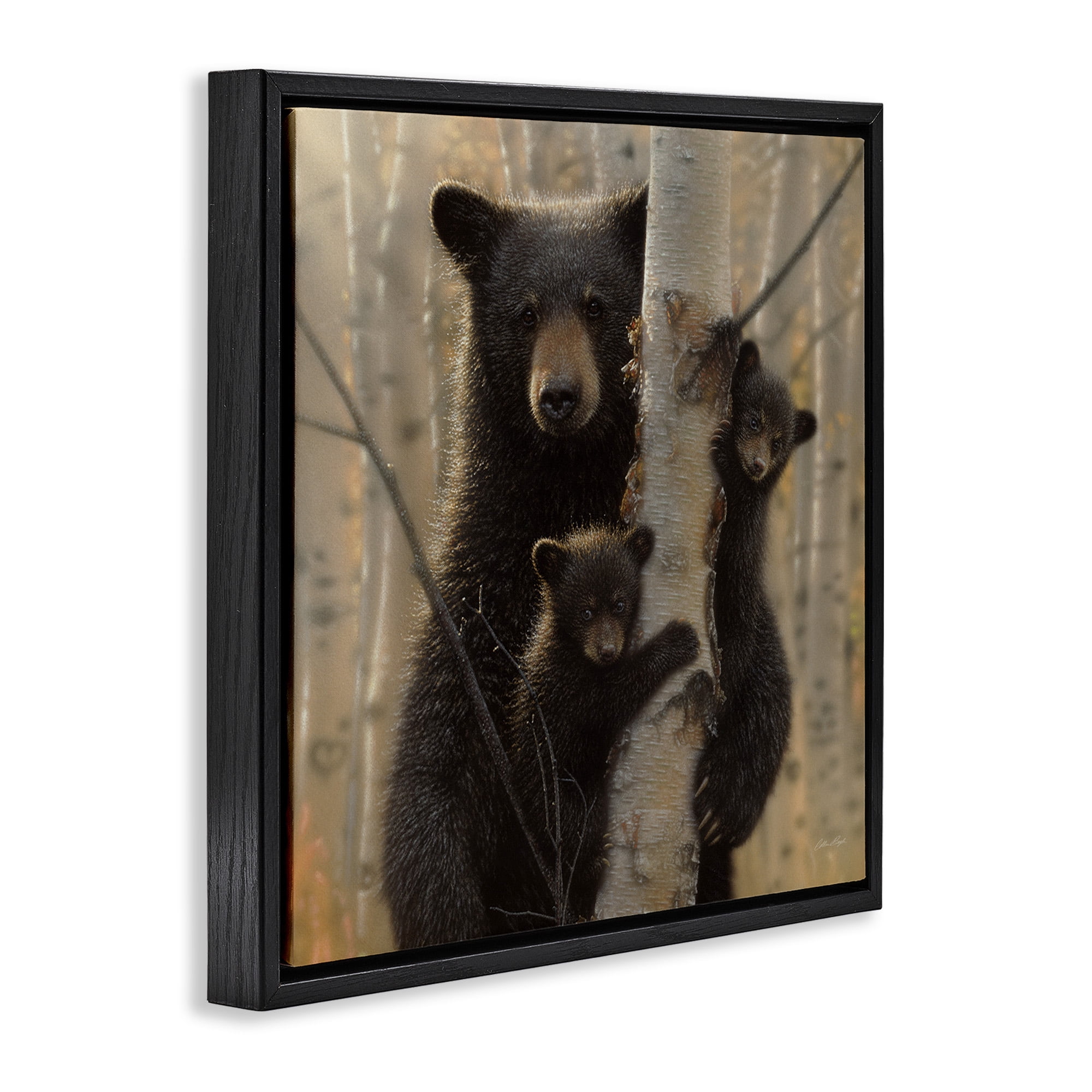 Stupell Industries Forest Black Bear and Cubs Animals & Insects Photography Black Floater Framed Canvas Art Print Wall Art, 18 x 18