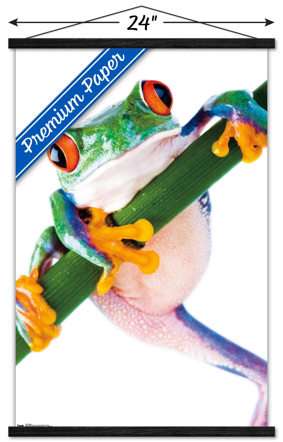Tree Frog Wall Poster with Wooden Magnetic Frame, 22.375" x 34"
