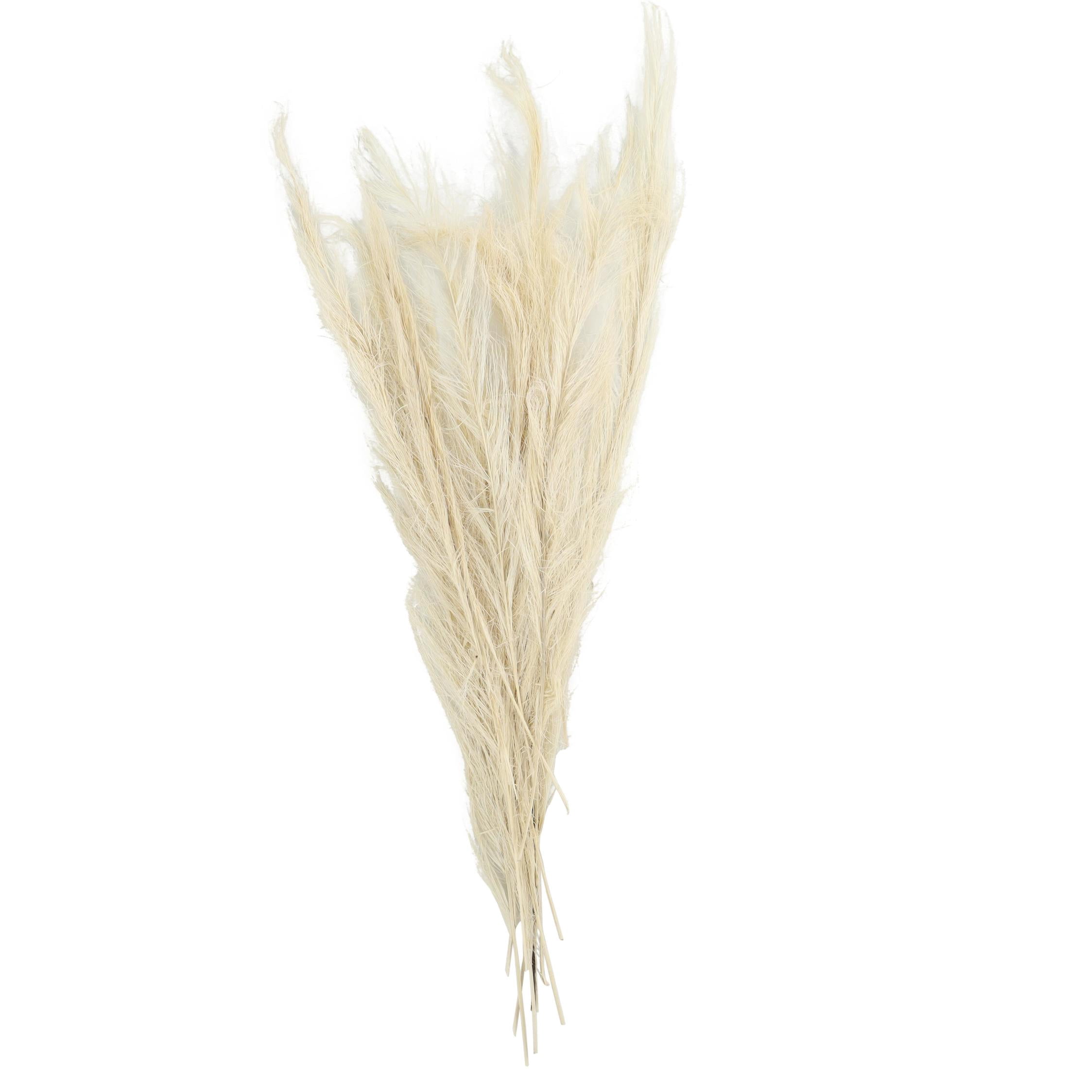 35" Tall Grass Dried Plant Natural Foliage Feather Like Leaves Bouquet with Stems, by DecMode