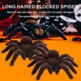 thumbnail image 5 of Halloween Realistic Hairy Fake Spiders, 3.7x4.5 inch Spiders Scary Joke Prank Toy for Halloween Decoration, Funny Halloween Fake Spiders Decoration (Dark Brown 4pcs), 5 of 9