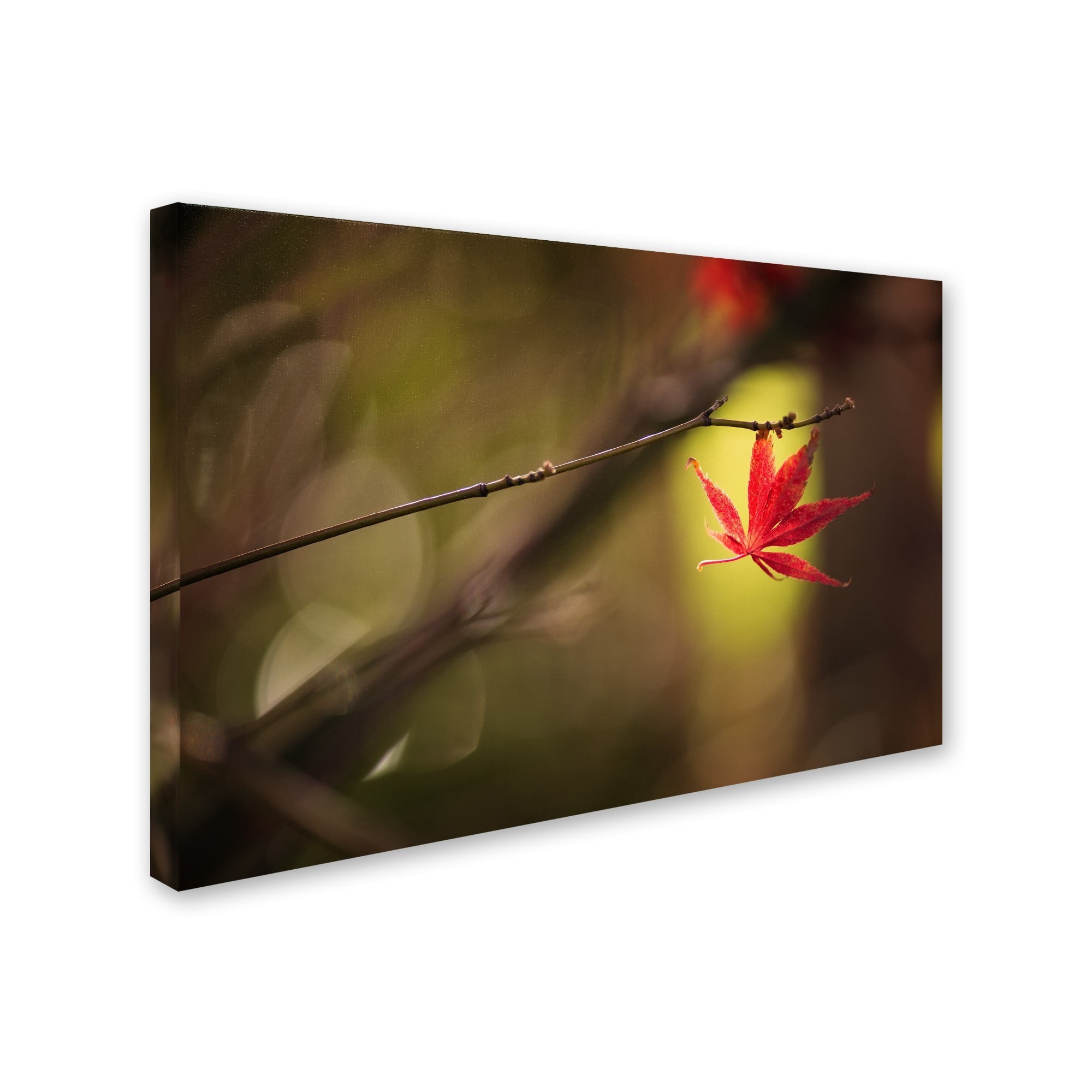 Trademark Fine Art "Don't Give Up" Canvas Art by Philippe Sainte-Laudy