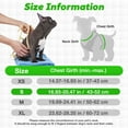 thumbnail image 6 of PcEoTllar No Pull Dog Harness and Leash Set, Adjustable Reflective Step in Dog Harness for Medium Dogs, Green M, 6 of 7