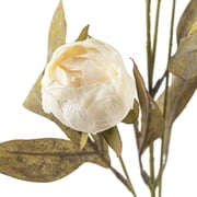 16 Pack: Cream Peony Stem by Ashland