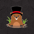 thumbnail image 4 of Inktastic Groundhog Day with Groundhog in Top Hat Women's Plus Size T-Shirt, 4 of 5