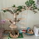 thumbnail image 1 of Indoor Simulation Tree for Cat, Large Family Climbing Frame, Pet Training Supplies, Tower Scrapers for Cats, Pet Accessories ShopWise Round, 1 of 9