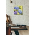 thumbnail image 6 of Epic Art 'Spring Hydrangeas II' by Tim O'Toole, Acrylic Glass Wall Art, 12"x12", 6 of 7