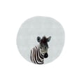 thumbnail image 2 of Straatsma, Leah 12x14 White Modern Wood Framed Museum Art Print Titled - Baby Zebra, 2 of 4