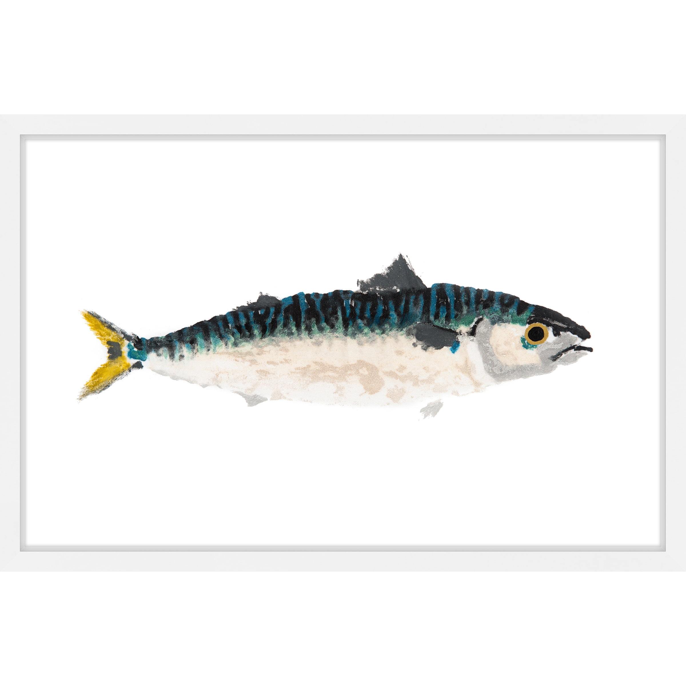 Marmont Hill "Two-Tone Fish" by Michael Pantalos Framed Painting Print