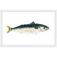 thumbnail image 2 of Marmont Hill "Two-Tone Fish" by Michael Pantalos Framed Painting Print, 2 of 5