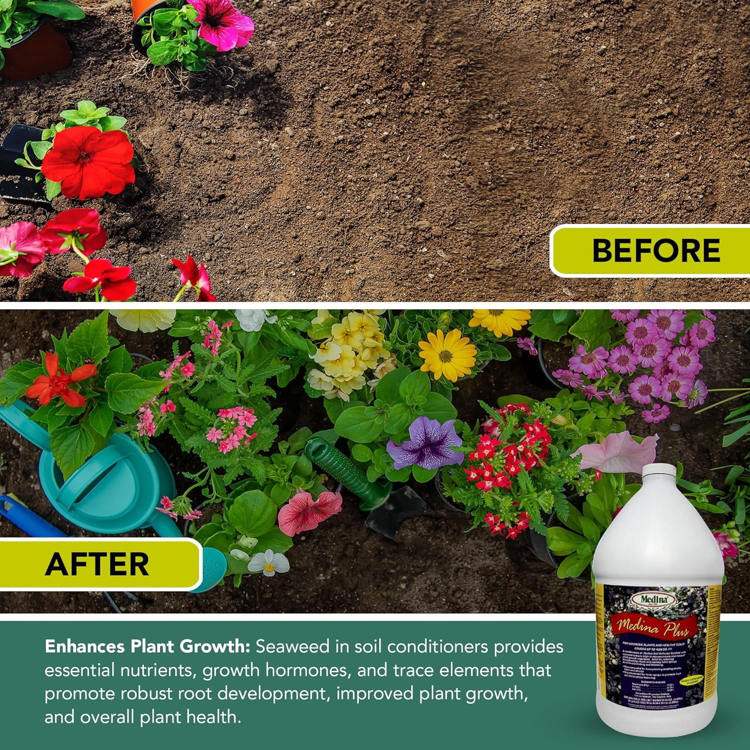Medina Plus Liquid Fertilizer - Blooming and Fruiting Enhancer - 128 fl oz Jug by Medina