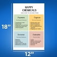 thumbnail image 2 of Happy Chemicals - Neurobiology- Dopamine Oxytocin Serotonin Endorphin - Neurochemistry Brain Chart, 2 of 2