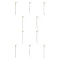 thumbnail image 2 of Naiovety Flores artificiales elegantes de Calla simuladas para la decoración del hogar y estambre amarillo alto blanco estambre amarillo blanco 10Conjunto, 2 of 6