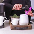 thumbnail image 5 of Jinsinto Reusable K Cup Pod Coffee Filters - Refillable Coffee Pod Capsules with Built-In, Integrated Mesh Strainer , 4-Pack, 5 of 5