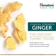 thumbnail image 4 of Himalaya Ginger Equivalent to 4,766 mg of Ginger Powder for Nausea and Upset Stomach, 60 Caplets, 4 of 5