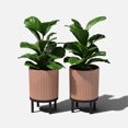 thumbnail image 4 of Veradek Demi Series Raised 12" Plastic-Stone Planter - (Terracotta/Black, 2 Pack), 4 of 10