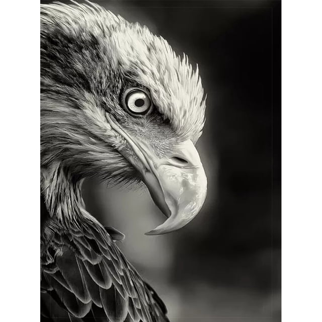 Pintura de diamante (DE5301) Kits de bricolaje 5D Cuadro cuadrado de águila Arte artesanal 45x60cm FLhrweasw Nuevo