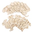 thumbnail image 1 of IFANLANDOR 20pcs Diy Graffiti Dinosaur Craft Chips For Lightweight Easy To Color For And Fun Diy Projects, 1 of 8