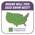 thumbnail image 6 of Pennington Smart Patch Seed Fertilizer Mulch Repair Kit, Full Shade, 6 of 8