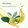 thumbnail image 3 of Extra Mild Surgras Soap - Olive Oil, 3 of 8