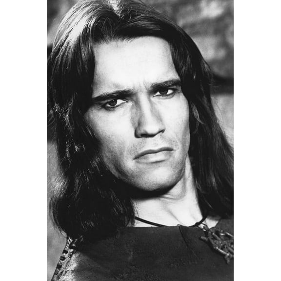 Arnold Schwarzenegger 24x36 Poster