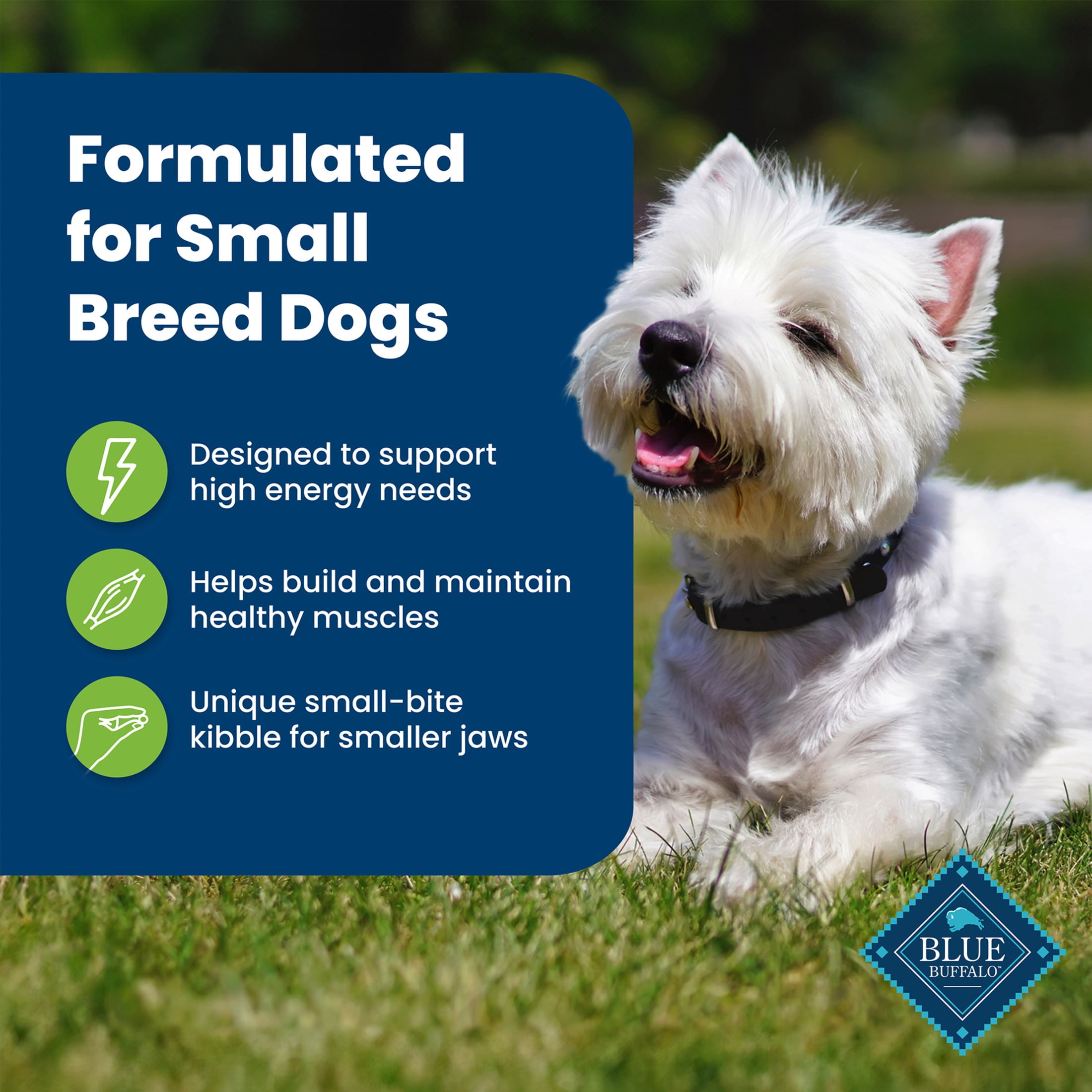 Blue Buffalo Life Protection Formula Small Breed Dry Dog Food, Lamb & Brown Rice, 15 lbs.