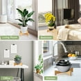 thumbnail image 6 of Wooden Bench Riser For Indoor Plants,Natural Acacia Planting Base Modern Minimalist Pot Rack Stand, 6 of 10