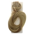 thumbnail image 2 of Hairdo Poney Droit - R14 88H Blé Doré pour Femmes - Extension de Cheveux 25 Pouces, 2 of 3