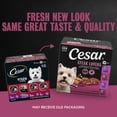 thumbnail image 4 of Cesar Steak Lovers Variety Pack With Real Meat Adult Wet Dog Food, 3.5 Oz Trays (36 Ct), 4 of 14