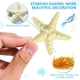 thumbnail image 3 of Pinzas para el pelo OBTANIM, resina, playa y mar, para mujer, 4 unidades, 3 of 7