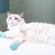thumbnail image 5 of Methold 4x árboles para gatos y postes rascadores para entretenimiento de amigos felinos, herramientas para el cuidado de mascotas, Aseo de mascotas azul claro, 5 of 6