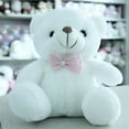 thumbnail image 1 of Light-up Stuffed Animal Glow Teddy Bear Plush Battery Operated, 1 of 1